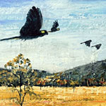 Storm Birds